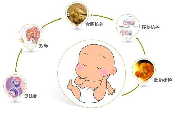 南宁试管婴儿
