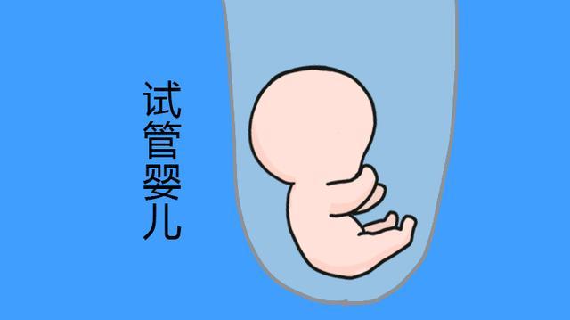惠州试管
