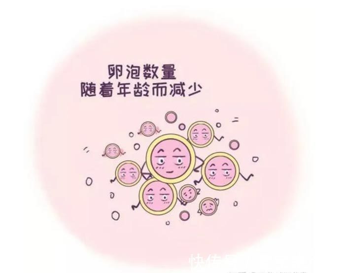 胎停育