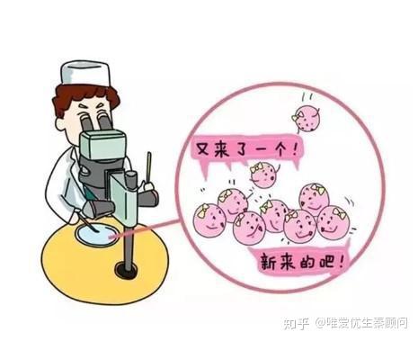 卵巢囊肿