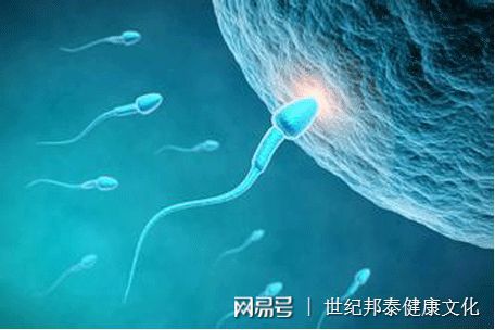 又双叒叕咋读