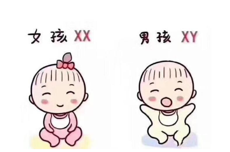 孕前检查