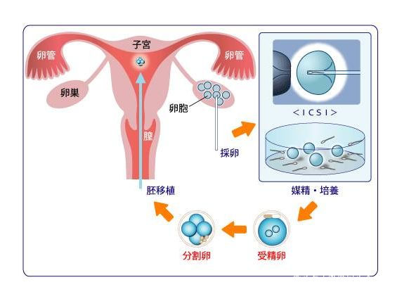 南宁备孕检查
