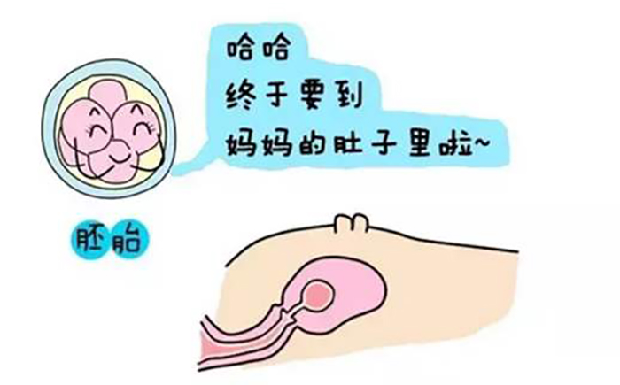 怀孕检查