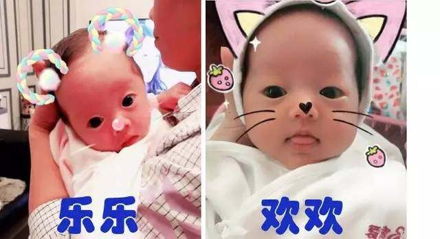 卵泡破裂