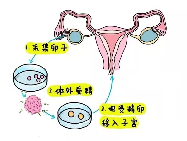 南京小产假期