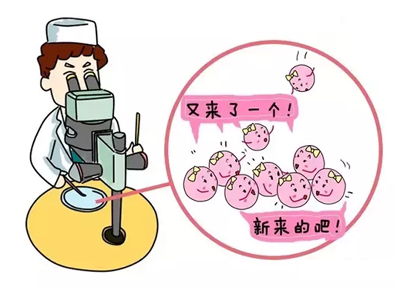 人流手术